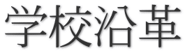 wZv